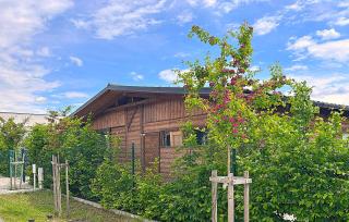 Domčeky Nesvady - Nesvady - 7