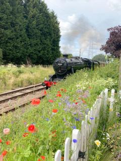 The Railway Cottage - Rothley - 9