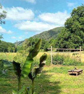 La Roulotte 4pl confort Au bord de la Rivière - Laguépie - 4