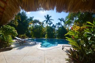 Tropical Escape for Two - Las Terrenas - 4