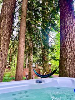 The Little Lolo Lodge - Mount Hood Village - 0