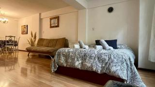 Loft plaza España - Mendoza - 9