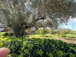 Buenas vistas y privacidad, tranquila y fresca villa en el bosque de Valencia con una magnífica piscina de 80m2 - Lliria - 3