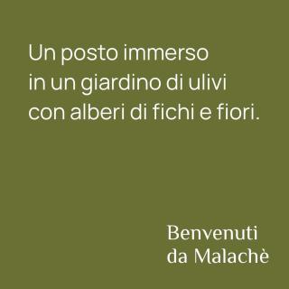 Malachè - Torchiara - 9