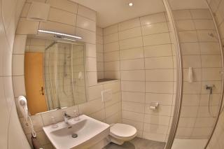 Hotel Stecher - Oetz - 8