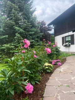 Schwanennest am Chiemsee - Bernau am Chiemsee - 9
