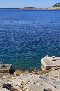 Apartments by the sea Razanj, Rogoznica - 24569 - 6