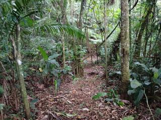 REFUGIO DA MONTANHA - Angelina - SC - 5