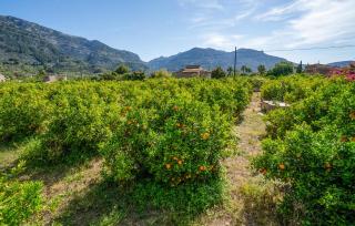 Can Sivella Groc - Sóller - 2