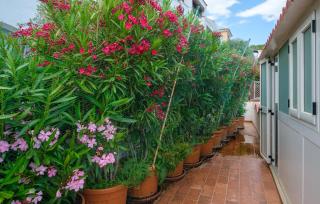 3 Bedroom Amazing Apartment In Posada - Posada - 1