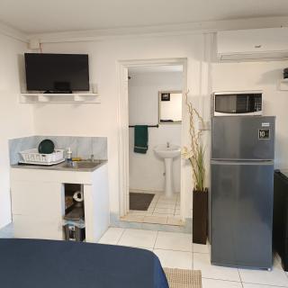 Montego Bay Garden Studio - Montego Bay - 4