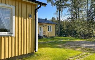 Mården - 1