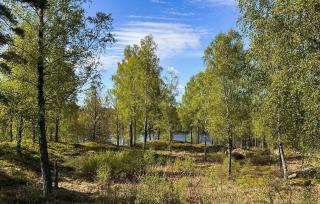 Mården - Fegen - 2
