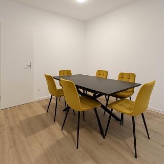 SEDUCTIVE APT, With high class - Stuttgart - 5