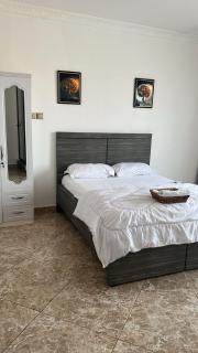Spacious Sunny 1Bedroom with backup generator - Accra - 3