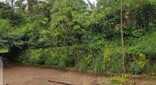 Degu Homestay and tours - Jinka - 5