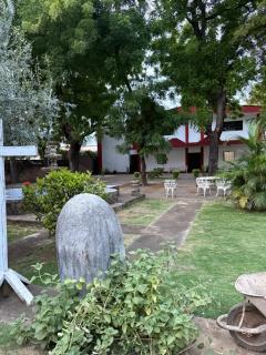 Hostel Phoenicia - El Venado - 6