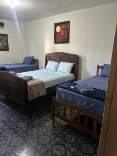 Hostel Phoenicia - El Venado - 5