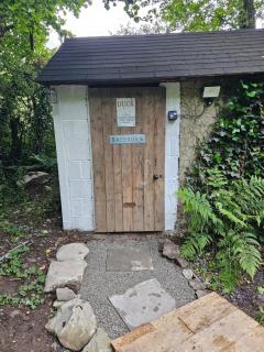 Bluebell Hideaway - Llanfair Clydogau - 2