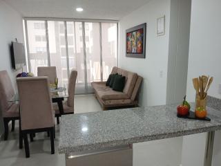 Acogedor Apartamento - Ibagué - 0