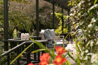 Rustic Rural Retreat - Waimarama - 8