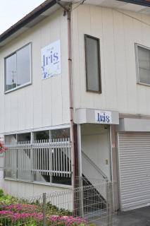 Iris - 3