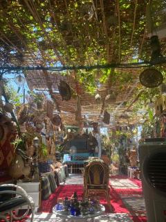 peace garden hostel & camp - Luxor - 7