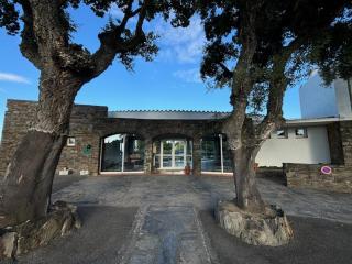 Charmante maison sécurisée avec piscine à Collioure - FR-1-309-454 - Collioure - 4