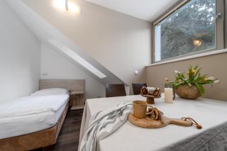 Anenský Apartmán C303 s wellness , O2 TV a stabilní rychlou WIFI, s možností dokoupení bufetových snídaní a s možností dokoupení masáží - Harrachov - 9