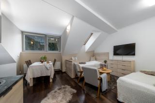 Anenský Apartmán C303 s wellness , O2 TV a stabilní rychlou WIFI, s možností dokoupení bufetových snídaní a s možností dokoupení masáží - Harrachov - 5