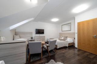 Anenský Apartmán C303 s wellness , O2 TV a stabilní rychlou WIFI, s možností dokoupení bufetových snídaní a s možností dokoupení masáží - Harrachov - 6