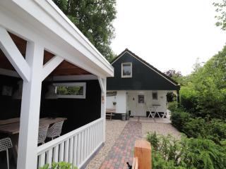 Holiday home in Overijssel with garden, cleaning included - Reutum - 5