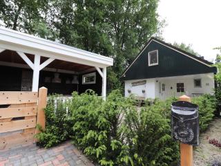 Holiday Home in Reutum with Pond and Trails, cleaning included - Reutum - 2