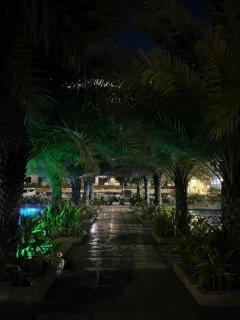 Ivory Tower's Home Stay - 6