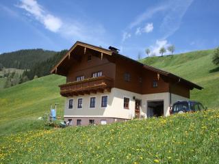 Apartment in Wagrain with Stunning Mountain Views, cleaning included - Wagrain - 9