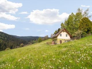 Holiday home in Sankt Andrae near Lake, cleaning included - Sankt Andrä - 9