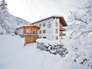Holiday apartment in Tyrolean, cleaning included - Arzl im Pitztal - 7
