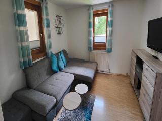 Apartment in Niedernsill near Ski Slopes, cleaning included - Niedernsill - 0