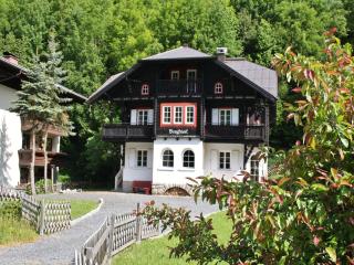 Villa in Zell am See near Lake, cleaning included - Zell am See - 5