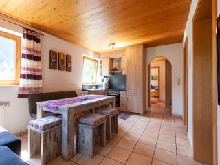 Apartment in Mayrhofen near Ski Lift, cleaning included - Mayrhofen - 2