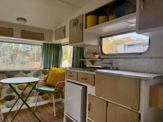 Castlemaine Gardens Vintage 60's Caravan - Castlemaine - 5