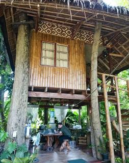 Dumaguete Oasis Treehouse, near airport and mall - Dumaguete - 2