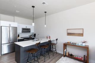 East Side Luxury 1BR Apt - Near Brady St with Balcony and Lounge - Milwaukee - 6