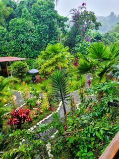 Mindo Green House - Mindo - 1