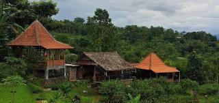 Jatiluwih Guava Eco Living managed by Manara - Jatiluwih - 9