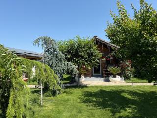 Cabana Sorina - 3