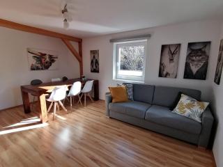Apartment in Dienten near Gabühel Ski Lift, cleaning included - Dienten am Hochkönig - 9