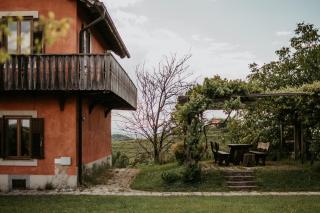 Hisa Vina - Podlehnik - 3