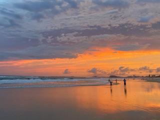 L19 Ocean View Studio Near Beach Mantra Legends - 1