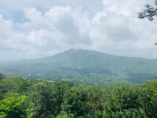 Denawaka Planters Bungalow - Maligawatta - 8